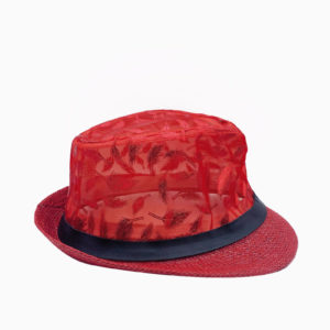 chapeau-rouge-plume-cote