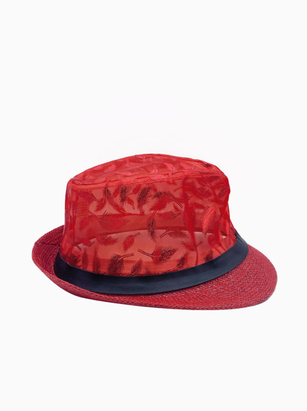 chapeau-rouge-plume-cote