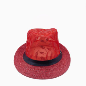 chapeau-rouge-plume